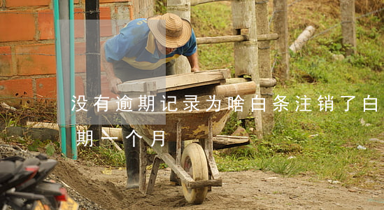 没有逾期记录为啥白条注销了(白条忘记了逾期一个月)