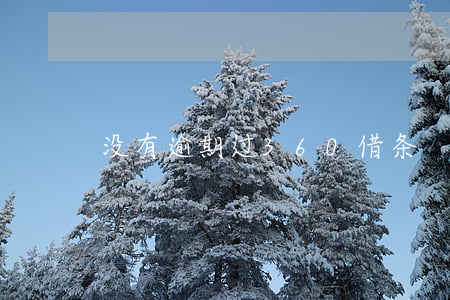 没有逾期过360借条