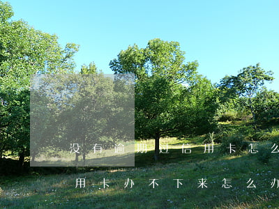 没有逾期过信用卡怎么办不了(有过逾期办信用卡办不下来怎么办)