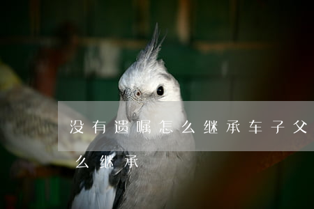 没有遗嘱怎么继承车子(父亲没有留有遗嘱怎么继承)