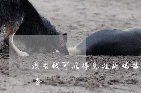 没有钱可以停息挂账吗(银行没有停息挂账业务)