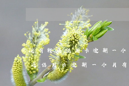 没有钱还信用卡逾期一个月有事吗-没有钱还信用卡逾期一个月有事吗怎么办