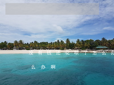 没有钱还花呗了怎么办-没有钱还花呗了怎么办啊