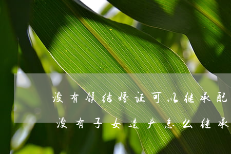 没有领结婚证可以继承配偶财产吗(没有结婚没有子女遗产怎么继承)