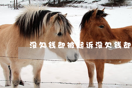 没欠钱却被起诉（没欠钱却被起诉）
