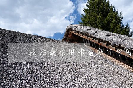 没注意信用卡逾期了（信用卡逾期利息没加了）