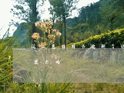 没注意信用卡逾期了（信用卡逾期真会追到家里去吗）