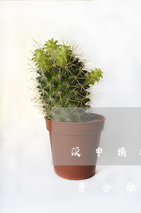 没申请过海尔消费金融,为什么说我逾期了（消费金融逾期多久被起诉海尔）