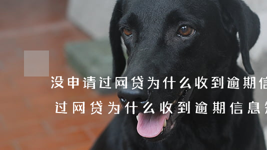 没申请过网贷为什么收到逾期信息-没申请过网贷为什么收到逾期信息短信