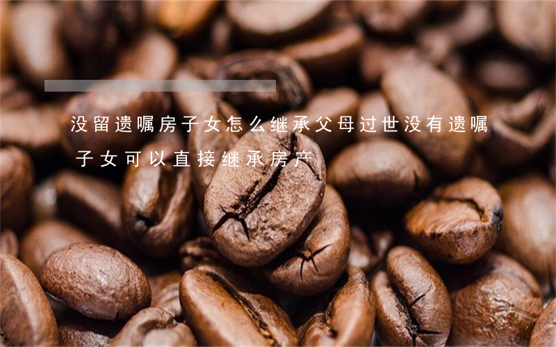 没留遗嘱房子女怎么继承(父母过世没有遗嘱子女可以直接继承房产)