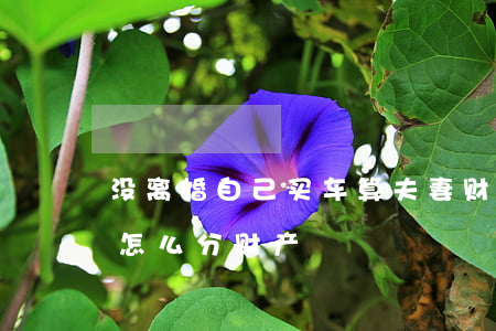 没离婚自己买车算夫妻财产吗(没房没车离婚怎么分财产)