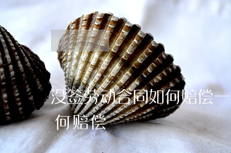 没签劳动合同如何赔偿，一年没签劳动合同如何赔偿
