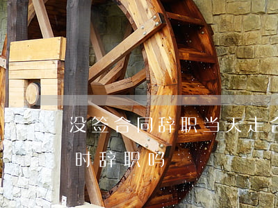 没签合同辞职当天走合法吗(没签合同可以随时辞职吗)