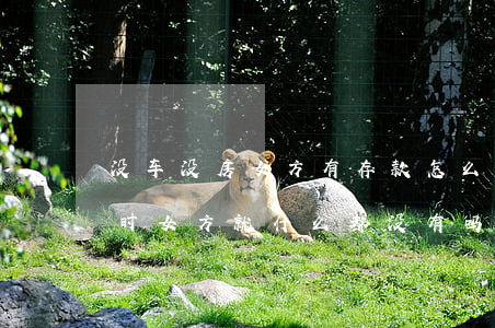 没车没房女方有存款怎么离婚(没有存款离婚时女方就什么都没有吗)