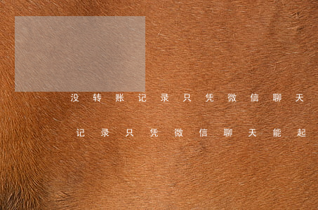 没转账记录只凭微信聊天能起诉吗-没转账记录只凭微信聊天能起诉吗安全吗