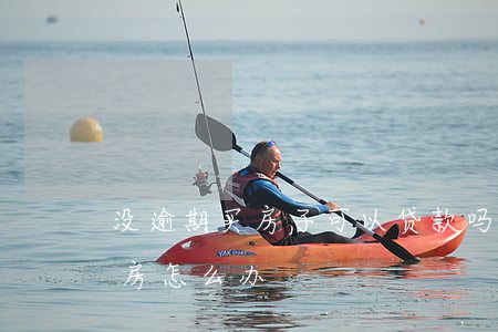 没逾期买房子可以贷款吗(有逾期不能贷款买房怎么办)