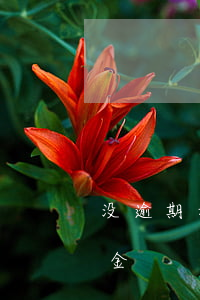 没逾期和网贷协商还款(网贷逾期协商只还本金)