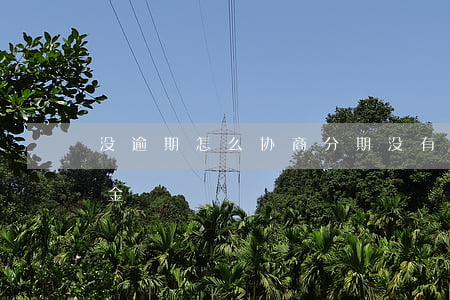 没逾期怎么协商分期(没有逾期怎么协商还本金)