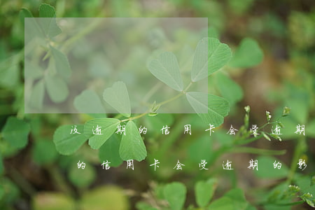 没逾期的信用卡会受逾期的影响吗-没逾期的信用卡会受逾期的影响吗知乎