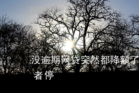 没逾期网贷突然都降额了(所有网贷都降额或者停)