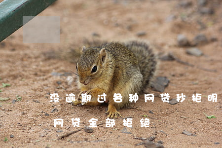 没逾期过各种网贷秒拒(明明没有逾期,为什么网贷全部拒绝?)