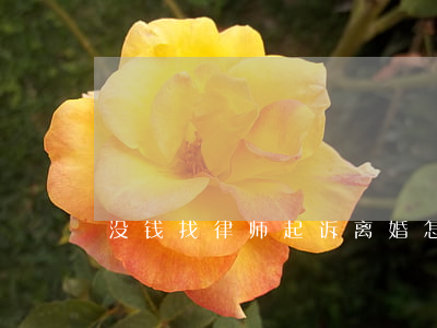 没钱找律师起诉离婚怎么办