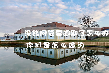 没钱网贷要逾期了怎么办(网贷要逾期了没钱你们是怎么做的)