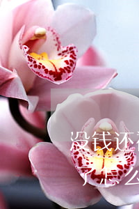 没钱还被微贷网起诉了(没钱还被微贷网起诉了怎么处理)