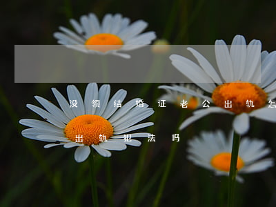 没领结婚证老公出轨怎么处理(没结婚证女方出轨犯法吗)