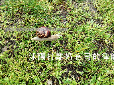 沭陽打離婚官司的律師(沭陽縣律師電話咨詢)
