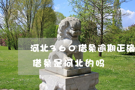 河北360借条逾期正确处理方案-360借条是河北的吗