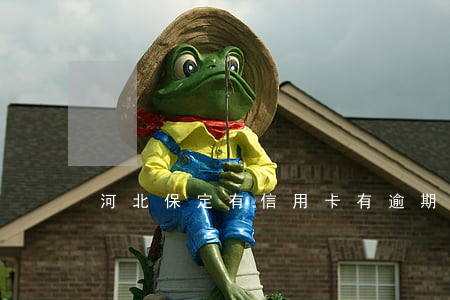 河北保定有信用卡有逾期(石家庄信用卡逾期)