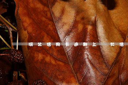 河北信用卡逾期上門(欠信用卡逾期上門催收)