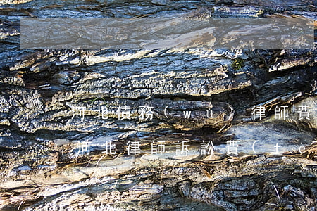 河北債務(wù)律師費(fèi)怎么算(河北律師訴訟費(fèi)收費(fèi)標(biāo)準(zhǔn))