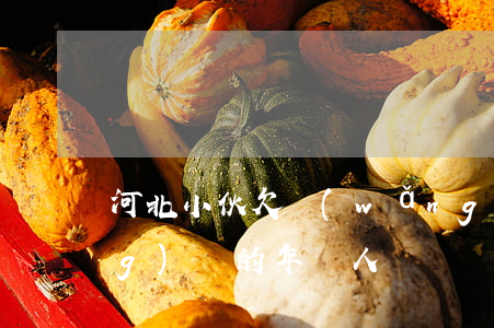 河北小伙欠網(wǎng)貸(欠網(wǎng)貸的年輕人)