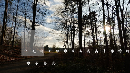 河北新业律师事务所高平律师(河北高俊霞律师事务所)