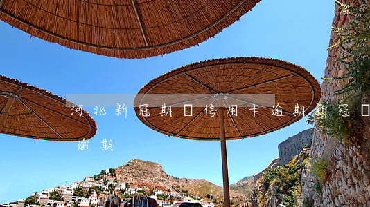 河北新冠期間信用卡逾期(新冠狀病毒信用卡逾期)