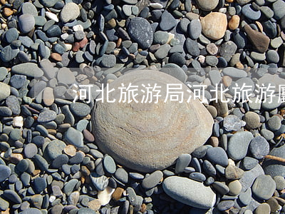 河北旅游局(河北旅游廳)