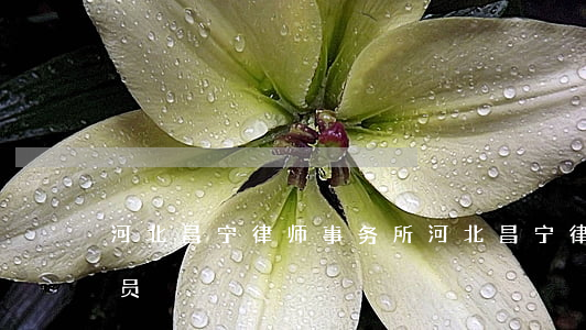 河北昌宁律师事务所(河北昌宁律师事务所人员)