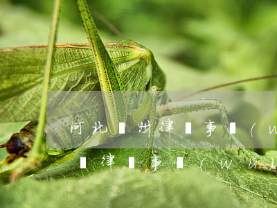 河北滄州律師事務(wù)所哪家好(滄州哪個律師事務(wù)所好,收費便宜)