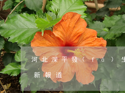 河北灤平發(fā)生命案(河北灤縣命案最新報道)