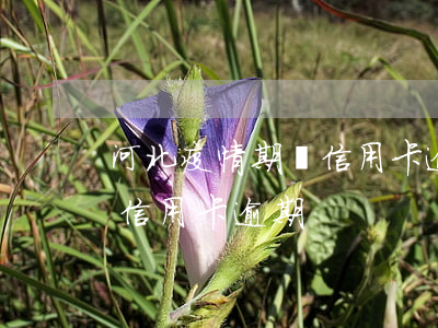 河北疫情期間信用卡逾期怎么辦(疫情被隔離信用卡逾期)