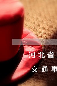 河北省交通事故賠償判決(2017年河北省交通事故賠償標(biāo)準(zhǔn)參考數(shù)據(jù))
