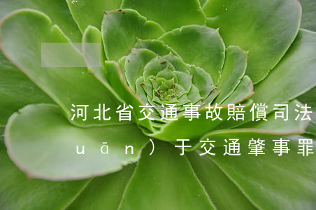 河北省交通事故賠償司法解釋(河北省關(guān)于交通肇事罪的量刑規(guī)定)