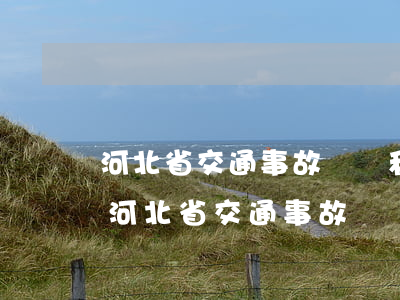 河北省交通事故賠償和工傷賠償(2017年河北省交通事故賠償標(biāo)準(zhǔn)參考數(shù)據(jù))