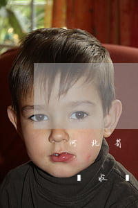 河北省債務(wù)糾紛律師(河北律師訴訟費收費標(biāo)準(zhǔn))