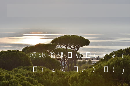 河北省律師收費(fèi)標(biāo)準(zhǔn)計(jì)算器(律師費(fèi)收費(fèi)標(biāo)準(zhǔn)計(jì)算器)