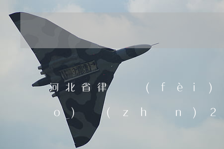 河北省律師費(fèi)用收取標(biāo)準(zhǔn)2021(河北省律師費(fèi)用收取標(biāo)準(zhǔn)2018)