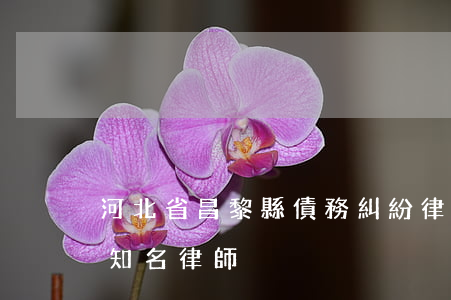 河北省昌黎縣債務糾紛律師哪個好-昌黎縣知名律師