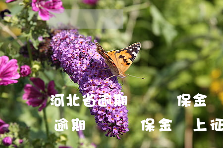 河北省逾期繳納殘保金會上征信嗎-河北省逾期繳納殘保金會上征信嗎知乎
